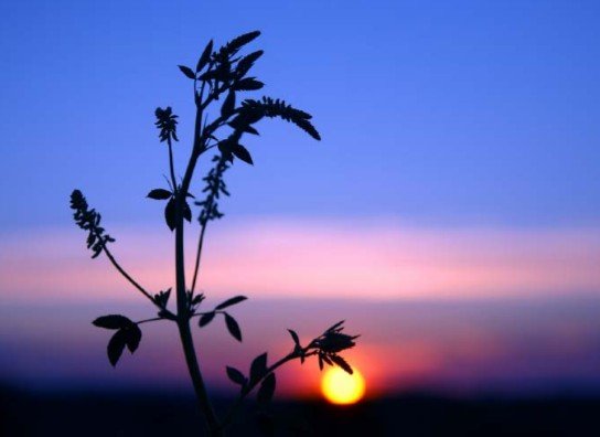 CLANER convoca los Premios Horizonte Sostenible 2026