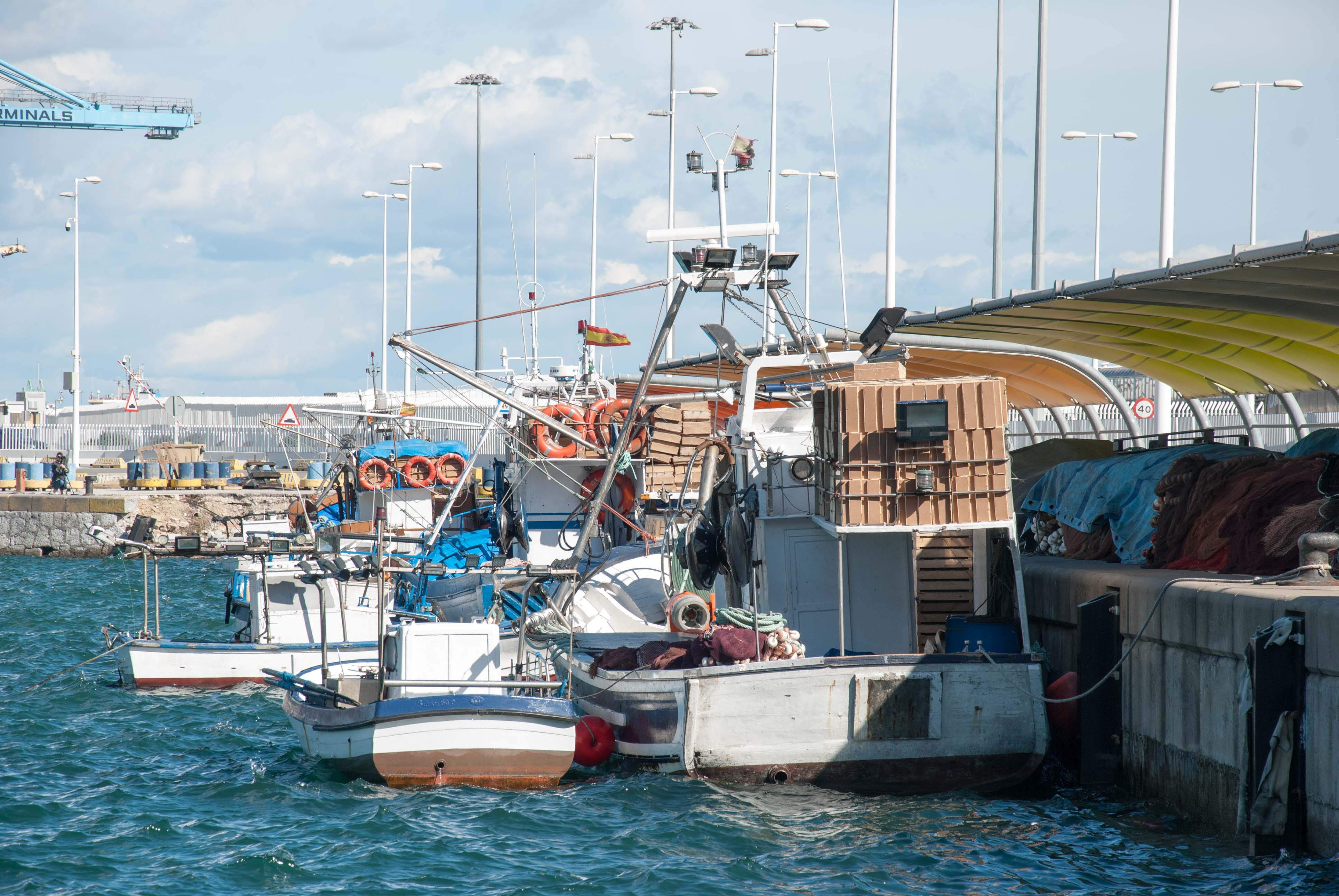 El Ministerio de Agricultura asigna las cuotas de pesca para 2026 en el Cantábrico noroeste y el golfo de Cádiz