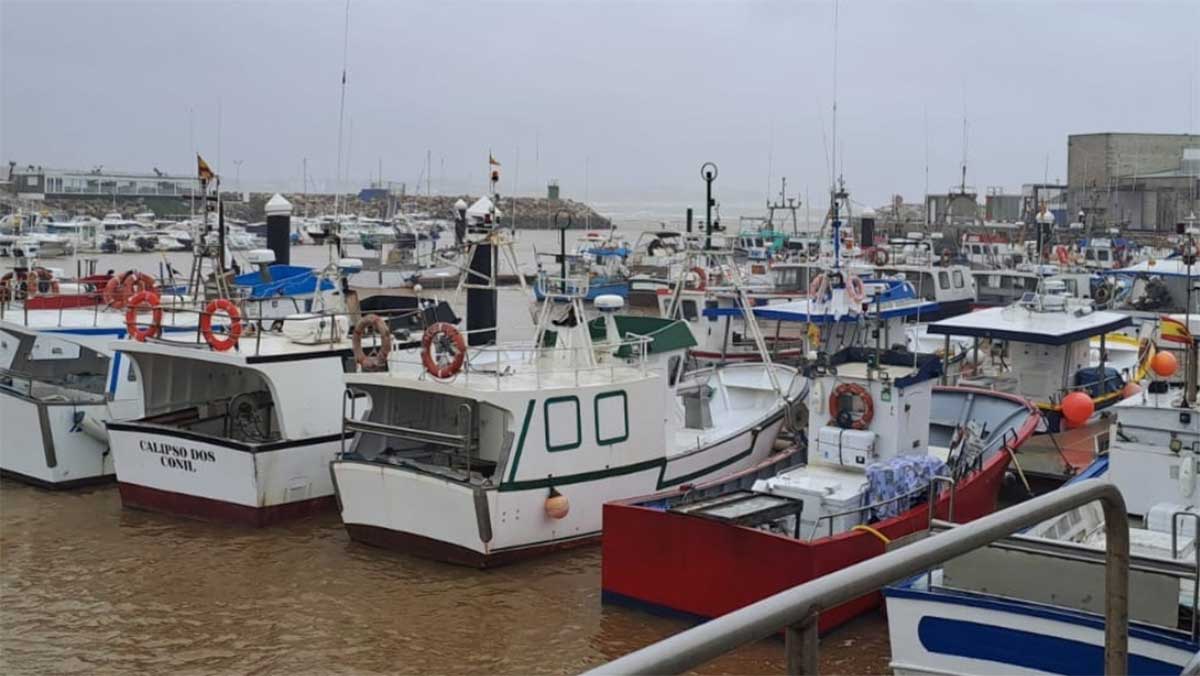La flota pesquera de Cádiz acumula semanas sin poder faenar por la sucesión de temporales desde diciembre