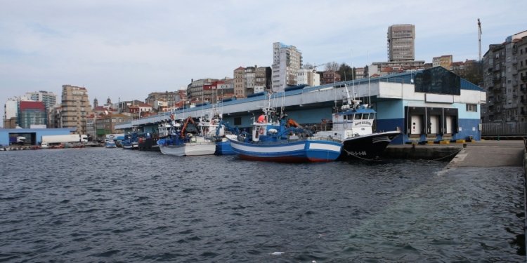 El puerto pesquero de Vigo invertirá cerca de 6 millones de euros en cinco proyectos de modernización de sus instalaciones