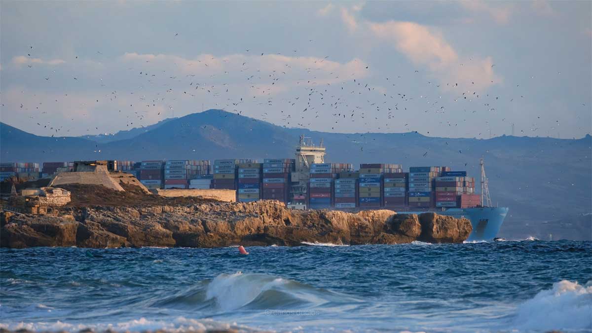 La APBA pone en marcha el proyecto Carbon Wave Gauge para la monitorización marina con sensores de fibra de carbono