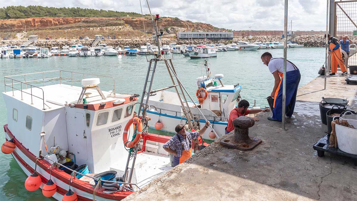 El Consejo General de Agentes de Aduanas logra simplificar el registro de datos de importación pesquera en el sistema CATCH